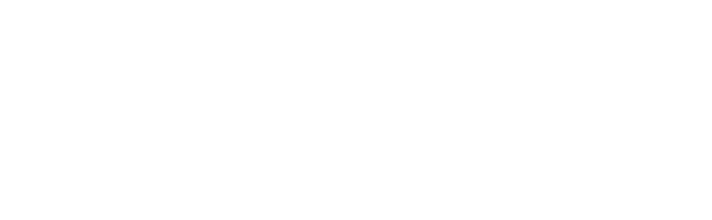 Video Storage Solutions (VSS)